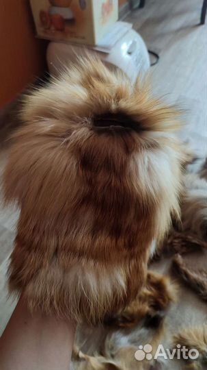 Куски лисы и шапка из лисы меховая