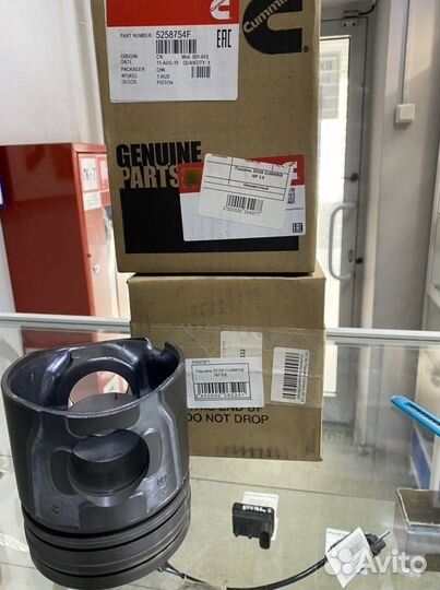 Поршень 33106 cummins 3.8