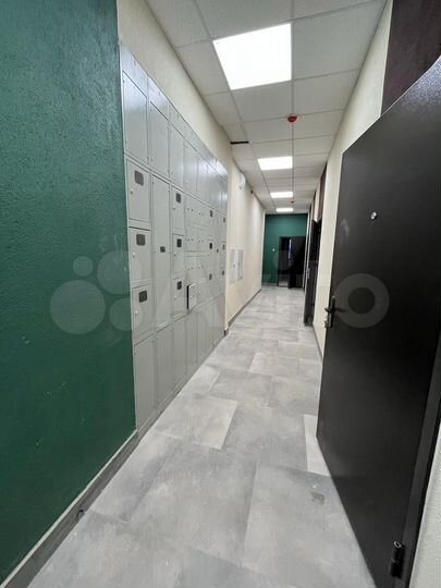 3-к. квартира, 59,6 м², 8/17 эт.