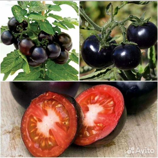 Комнатные огурчики,томаты,перчики,баклажаны семена