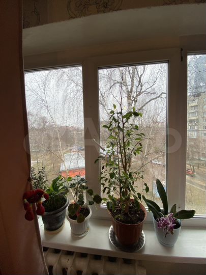 Комната 18 м² в 3-к., 5/5 эт.