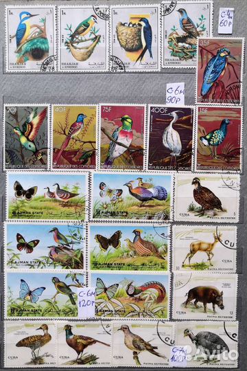 Подборка 22 птицы фауна Сборник