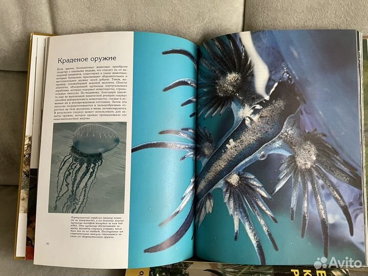 Энциклопедии, справочники о животных, растениях