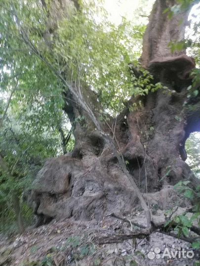 Мастер на час-другой. Ремонт, порядок, вывоз, мнтж