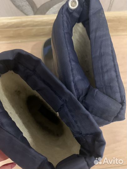 Сапоги barkito