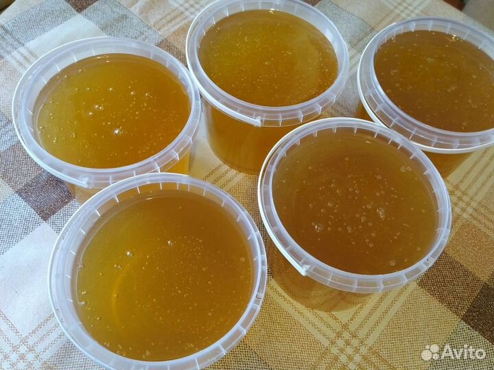 Мед липовый 2023