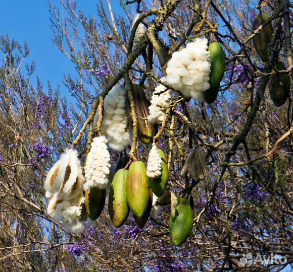 Одеяло лето-зима натуральное black forest Германия