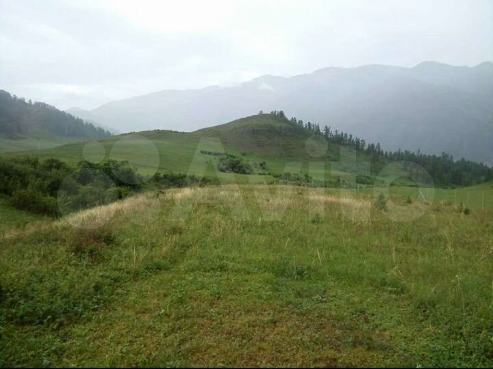 Участок 3 га (СНТ, ДНП)