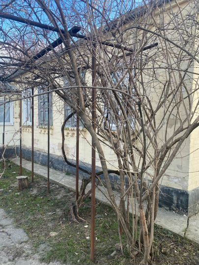 Дом 52,1 м² на участке 8,5 сот.