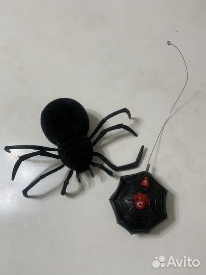 Паук на управлении