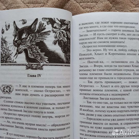 Книга Эрин Хантер. Коты-воители. Решение
