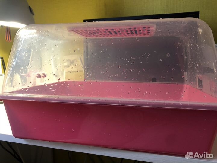 Домик для улиток, хомячков и др