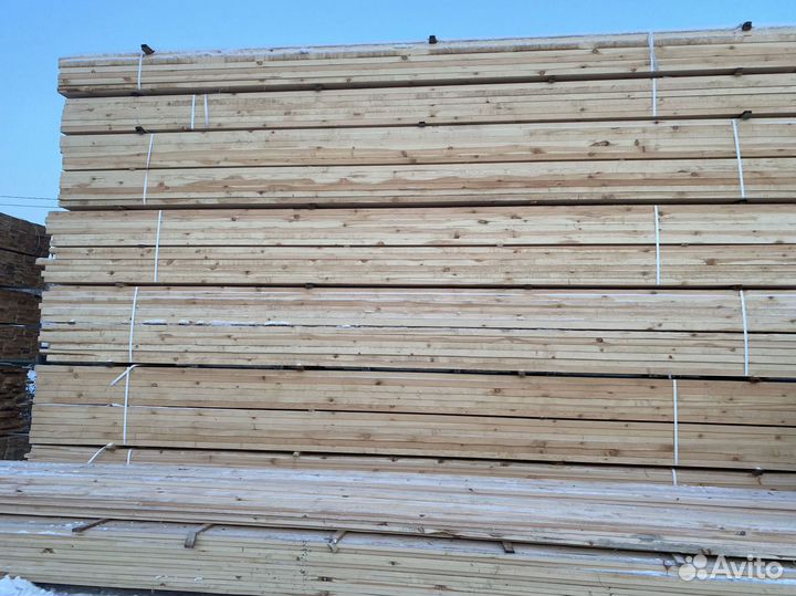 Обрезной лес