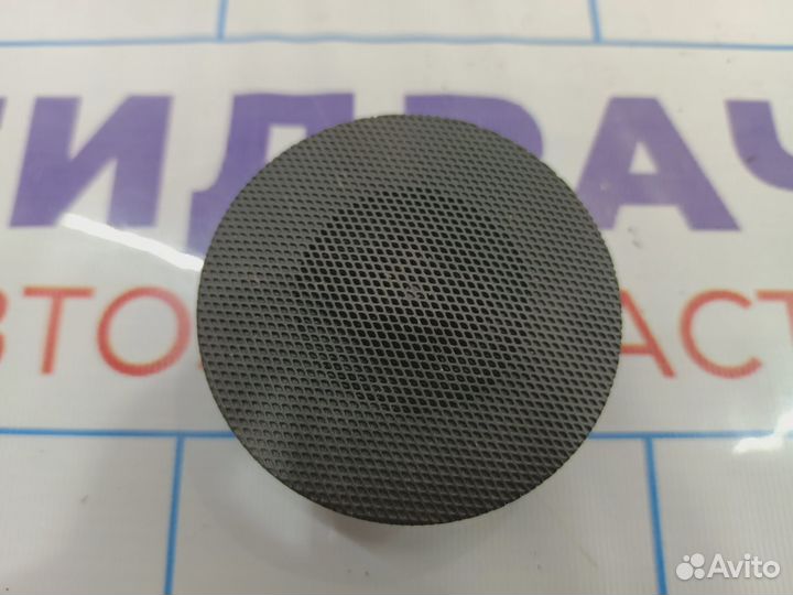 Динамик Citroen C4 II 90220017304