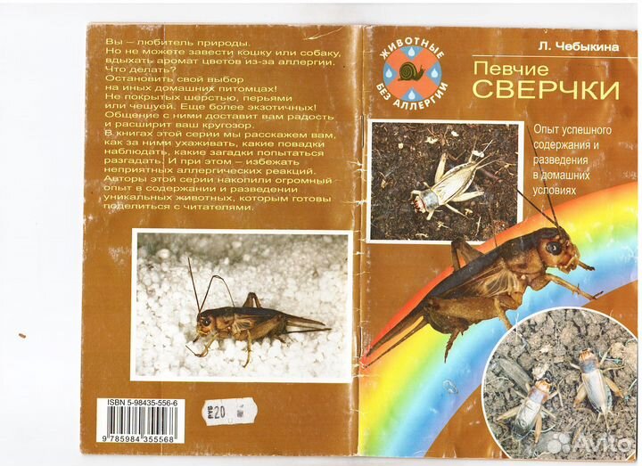 Певчие сверчки Чебыкина