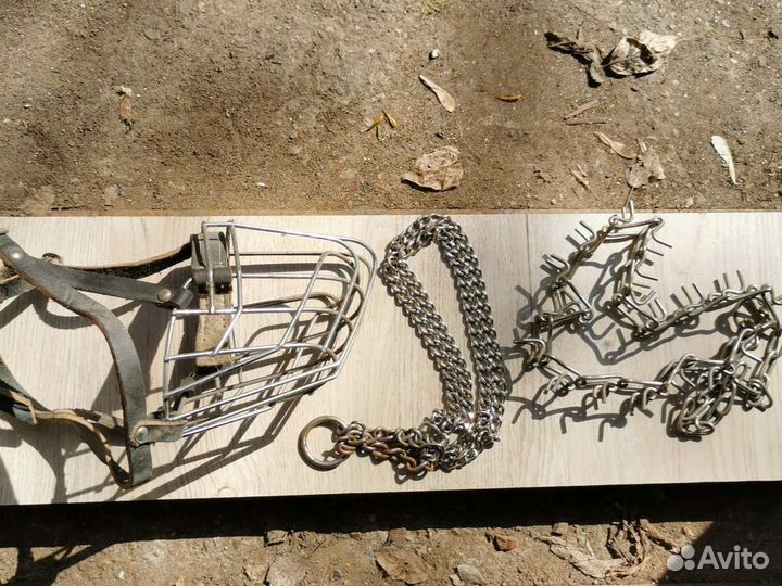 Намордник, ошейник-цепочка, строгий ошейник