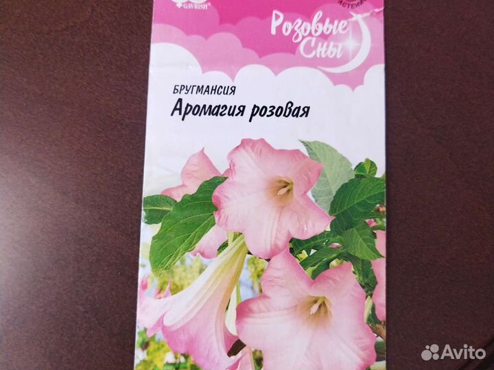 Розовая бругмансия