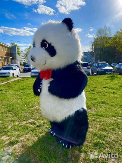 Надувной костюм панда,ростовая кукла