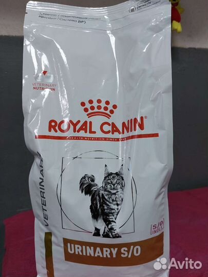 Сухой корм для кошек роял канин