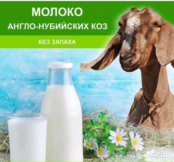 Козье молоко