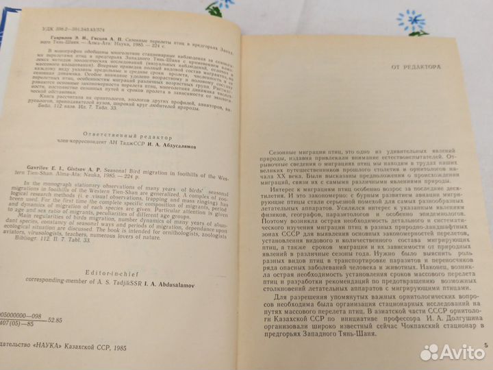 Сезонные перелеты птиц в предгорьях западного тянь