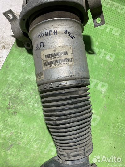 Пневмостойка cayenne 955