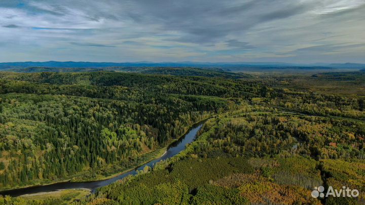 База отдыха 