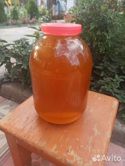 Продажа мёда 2023