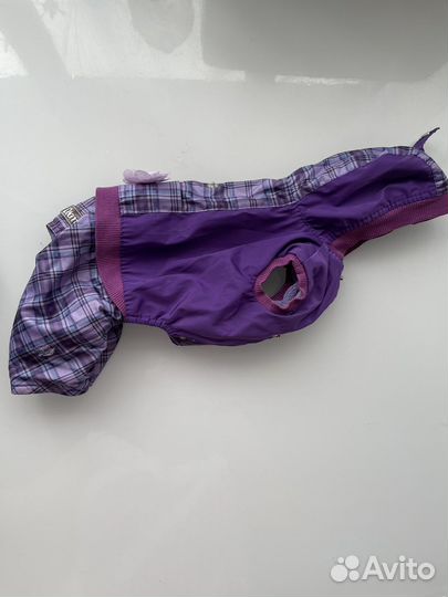 Куртка шубка и дождевик для собак s