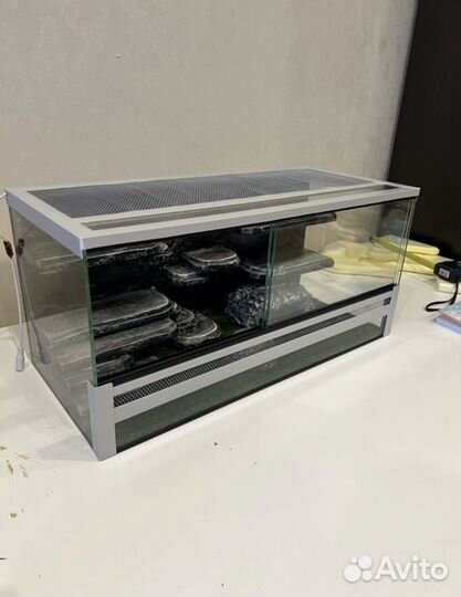 Террариум для геккона