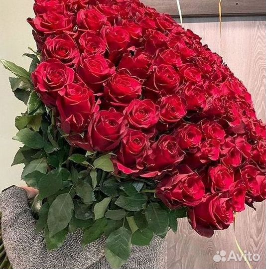 Высокие розы Гигантские розы Доставка цветов