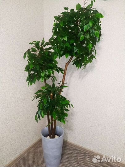 Искусственное дерево фикус