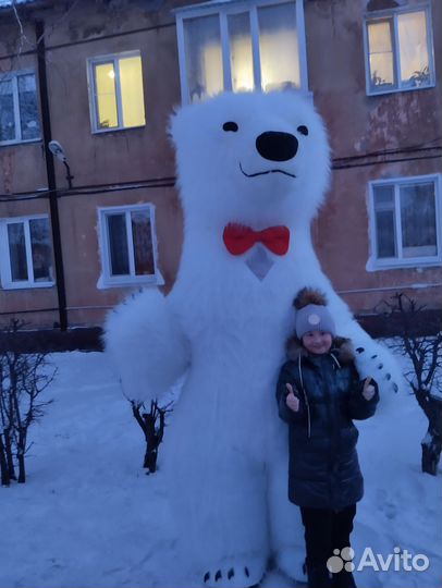 Белый Мишка Поздравление