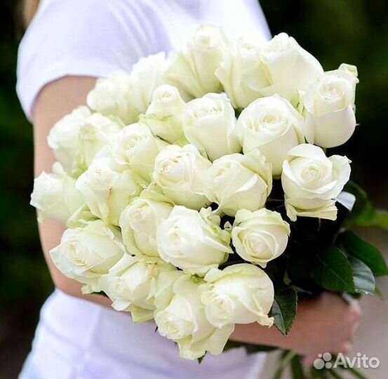 Розы Цветы Букеты 25 51 151 201 101 301 501 опт
