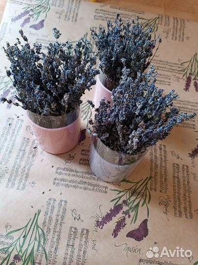Цветы для души(лаванда сухоцвет.доставка бесплатно