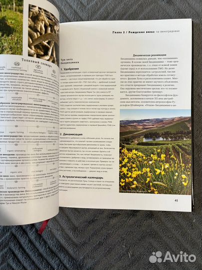 Просто о лучших винах книга