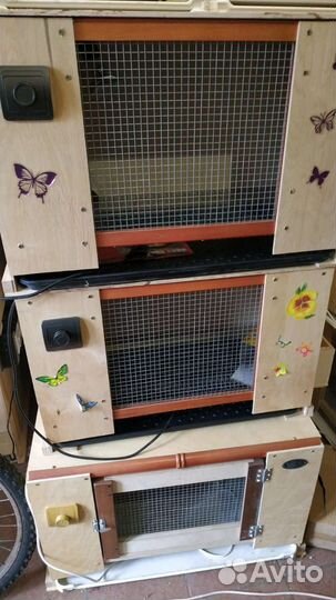 Супер брудер для цыплят