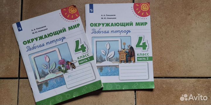 Рабочая тетрадь по окружающему миру 4 класс