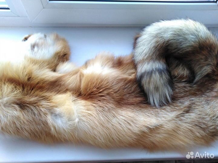 Шкурки лисьи