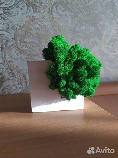 Декор из мха и гипса 