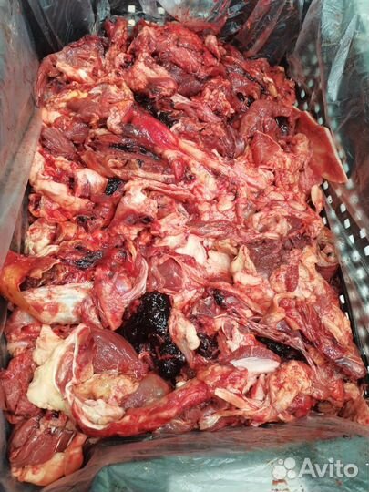 Мясо и фарши для собак