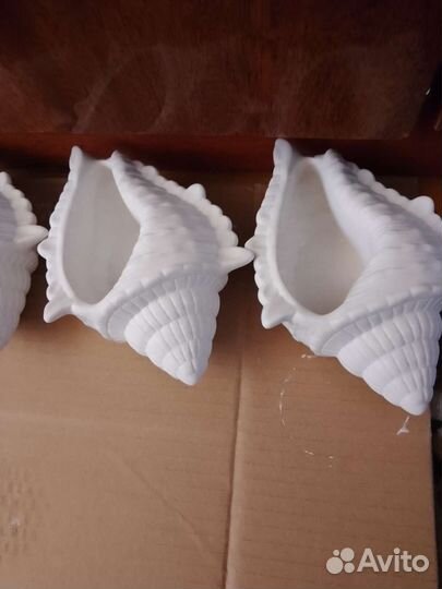 Раскраска из гипса,ракушка