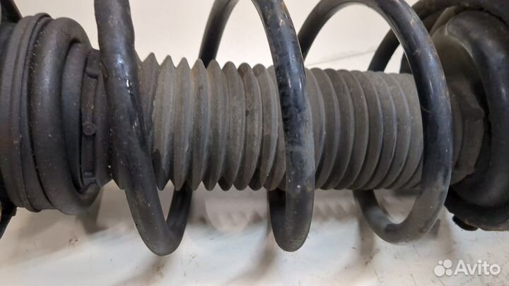 Амортизатор подвески Ford Focus 2, 2005