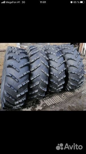 Шины низкого давления для вездехода