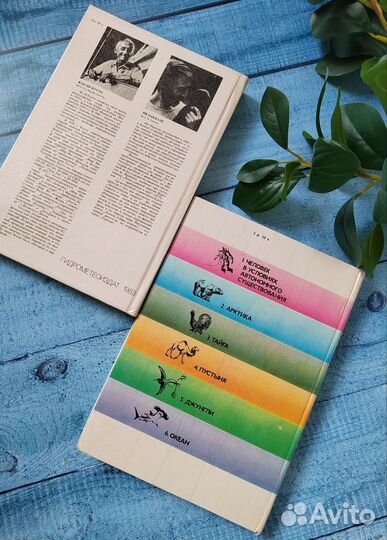 Книга Кусто Паккале