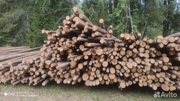 Продам дрова