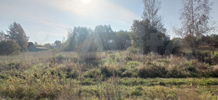 Участок 15,6 сот. (ИЖС)