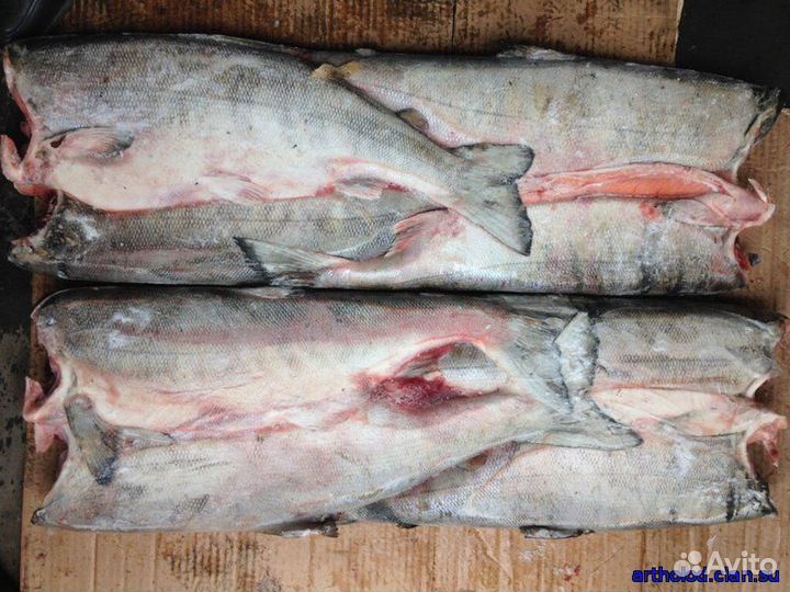 Рыба Кета пбг свежемороженная