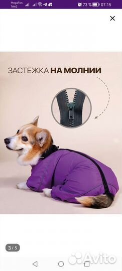 Комбинезон/дождевик для средней собаки