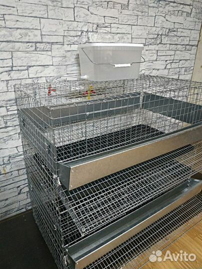Клетка для перепелов 2 секции